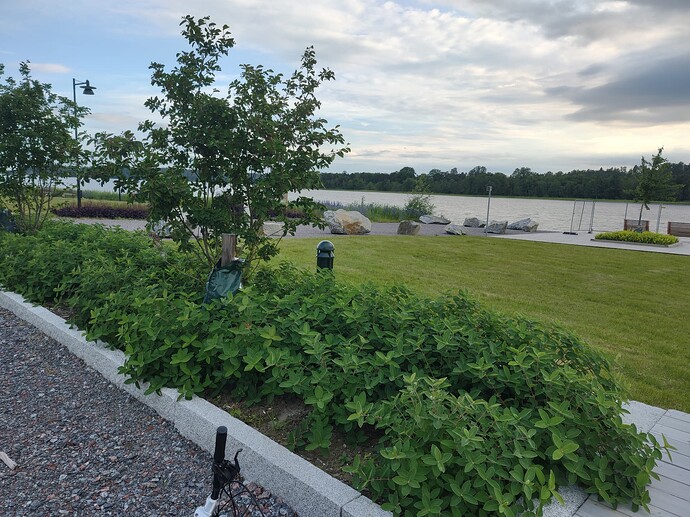 IMG_20240617_193354758_HDR
