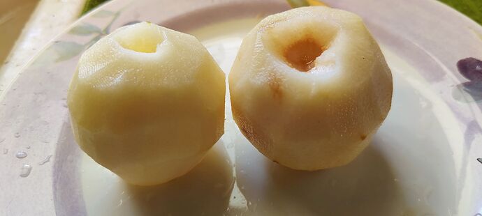 IMG_20250813_1424561