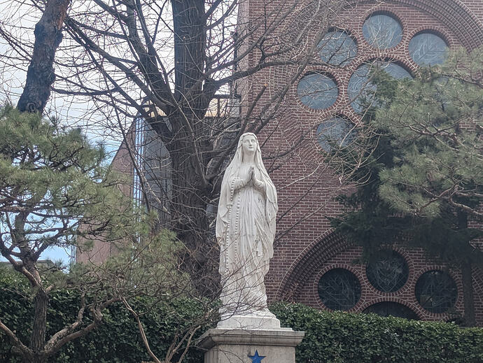 PXL_20260227_044336126