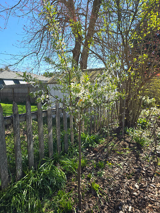 Flavor Grenade (entering year 2)