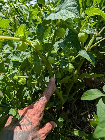 PXL_20250724_213959146