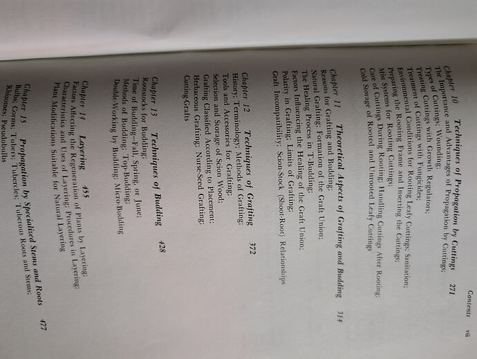 PXL_20260806_021309971