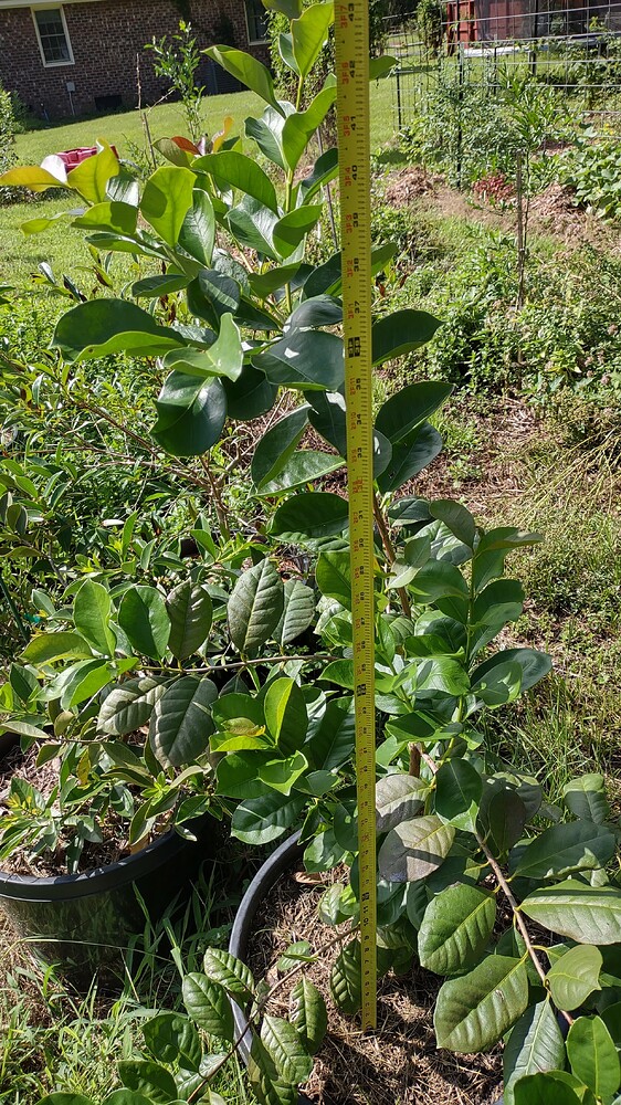 IMG_20250707_094425870_HDR