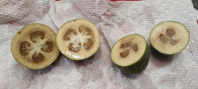 IMG_20251124_181354511