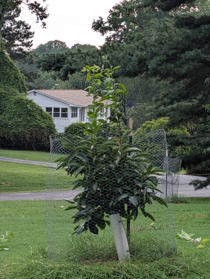 PXL_20250727_220500478