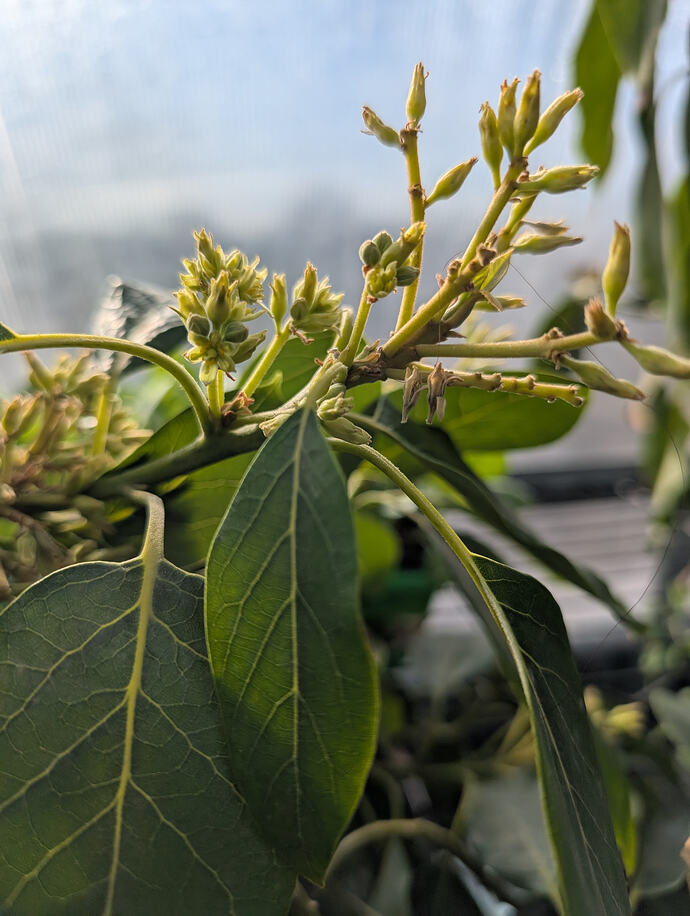 PXL_20260404_233910891