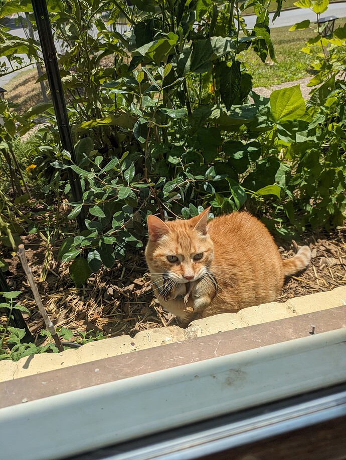 PXL_20240617_170043241