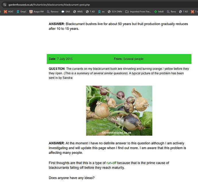 Screenshot 2025-07-11 074501