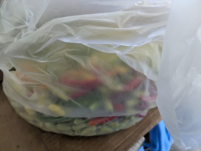 PXL_20251102_192859808