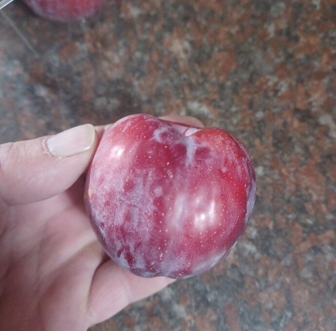 Screenshot_20250807_234850_Gallery