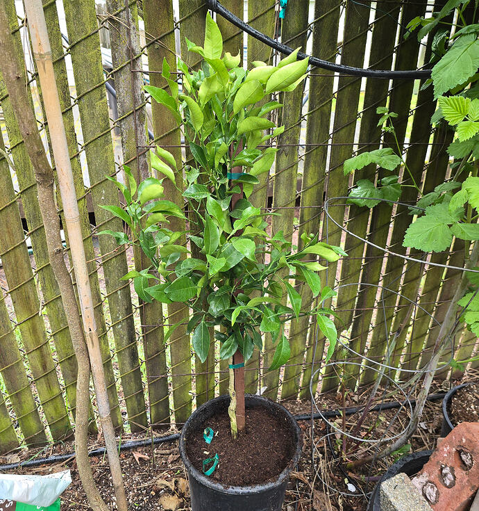 20260414_162716 (2026-04-15T00_07_48.419)