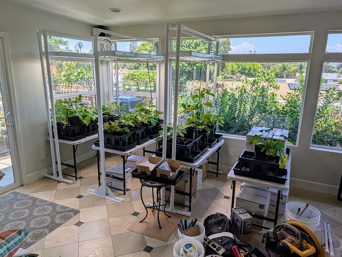 PXL_20250810_204547325~2