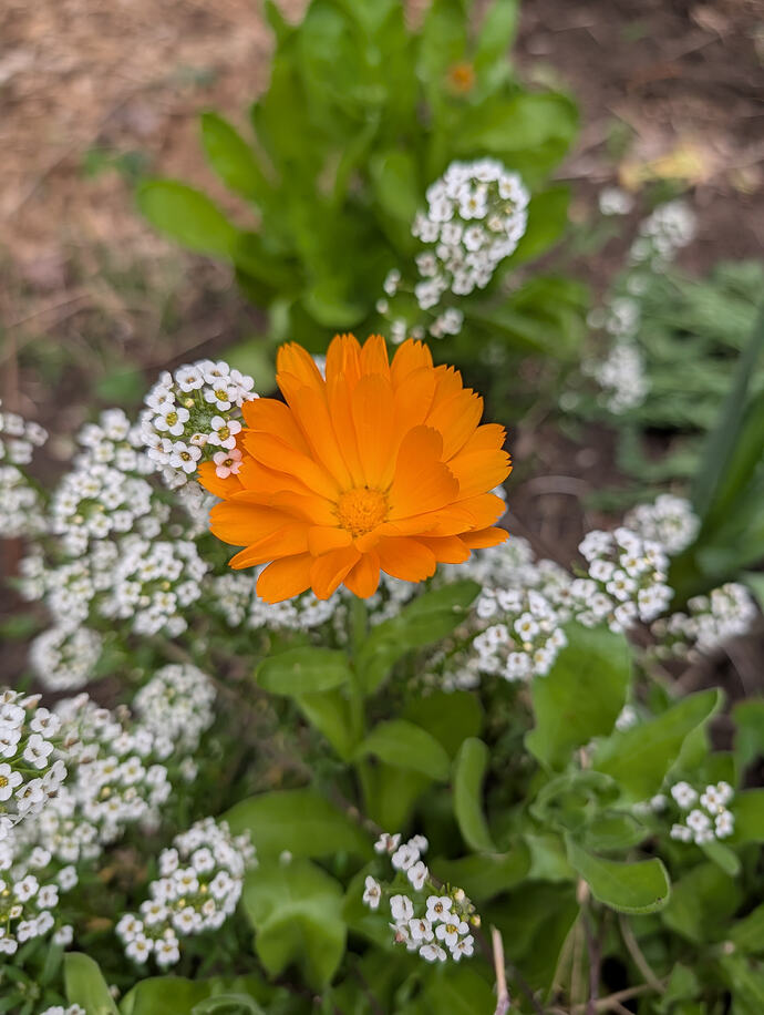 PXL_20260429_013323083