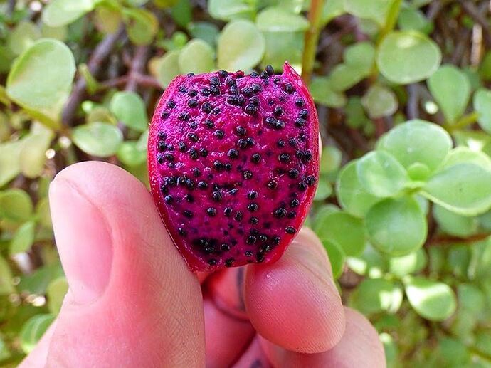 718qE627pNL.AC_UF894,1000_QL80