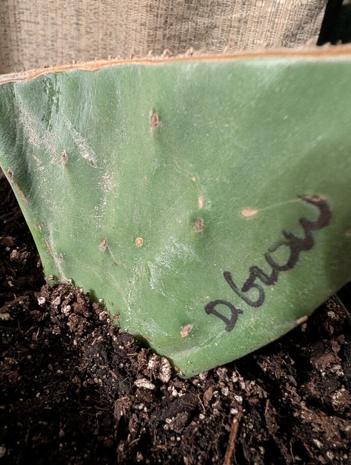 PXL_20260120_055736630