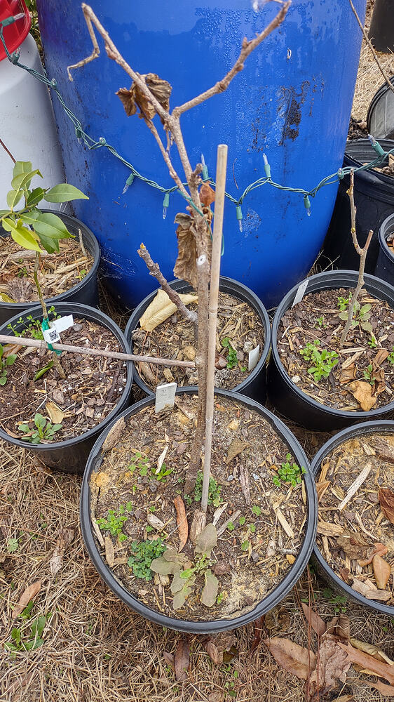 IMG_20260211_134014241_HDR