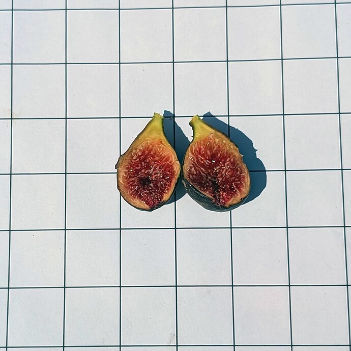 Ciliegia Dolce internal