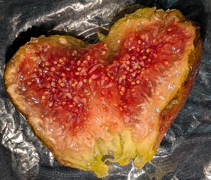 Smith Fig - Super Jammy - Copy