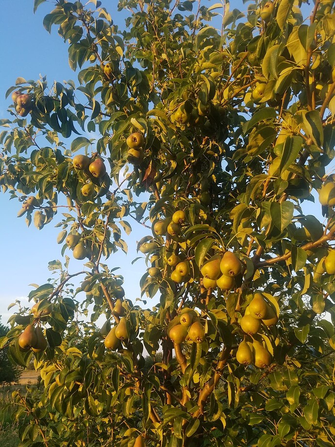 eda23cf759963cc4dafbf396ea6e716cdce2a170_2_1380x1840