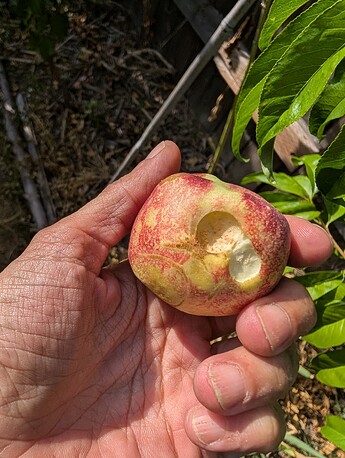 PXL_20250814_233051423