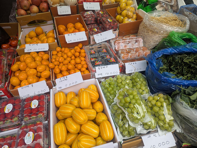 PXL_20260224_065001494.MP