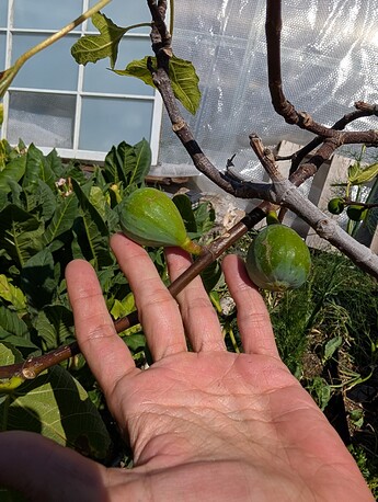 PXL_20250724_214635487