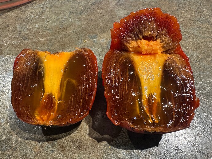 Persimmon - Saijo - 2025-11-02 - fruit5