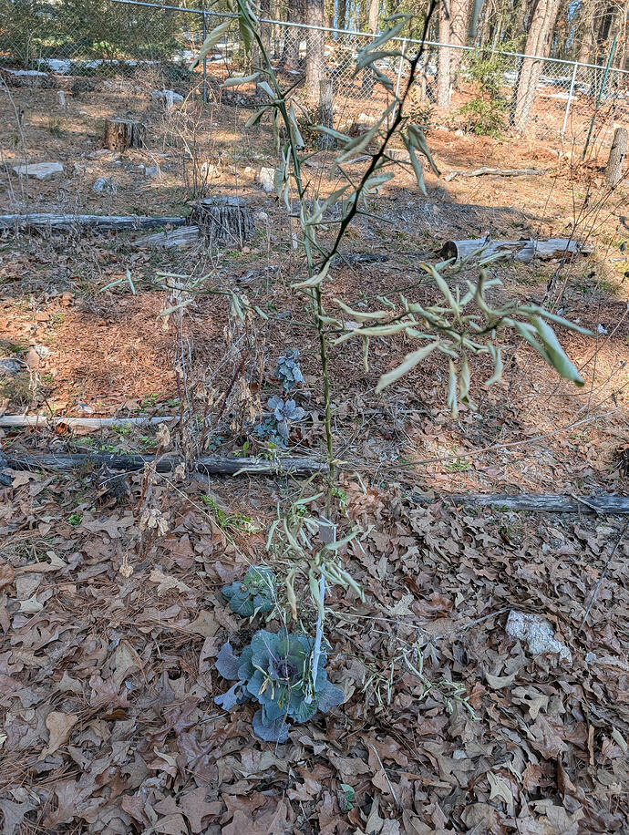 PXL_20260201_200220837