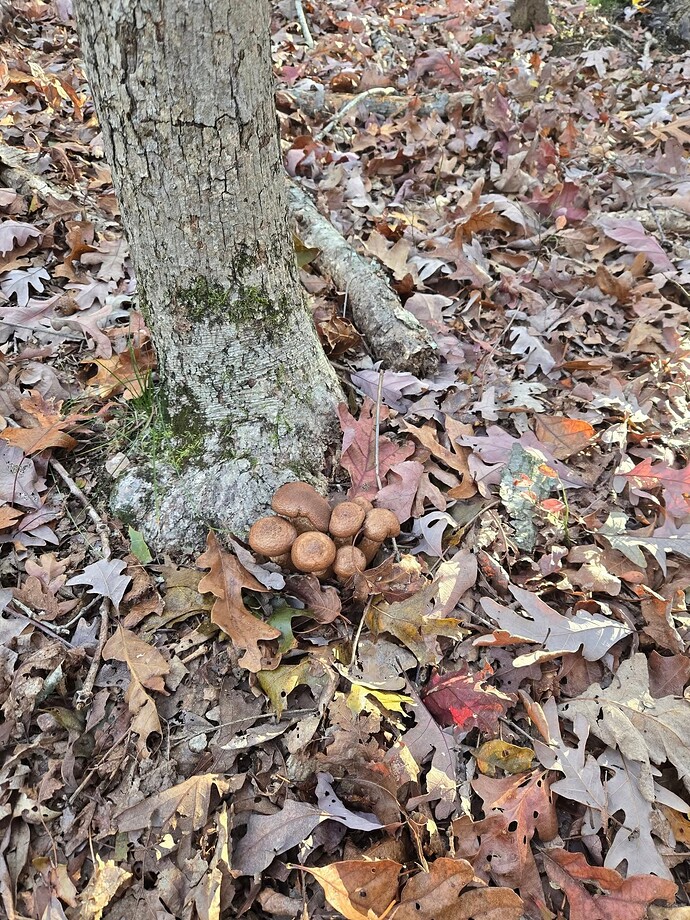 573584422_10234469188845913_4428239100896885445_n