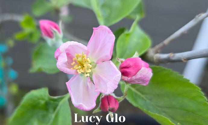 20260409_080444 (2026-04-09T18_59_07.100)