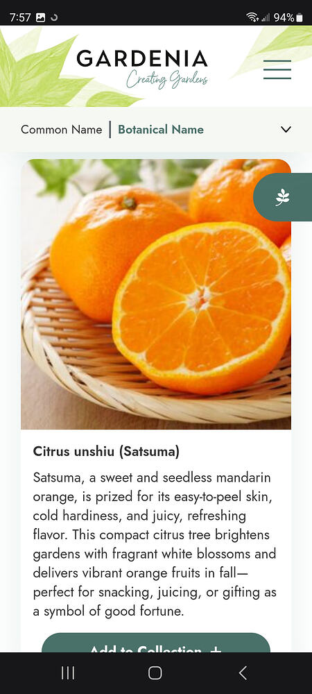 Screenshot_20260620_075743_Samsung Browser