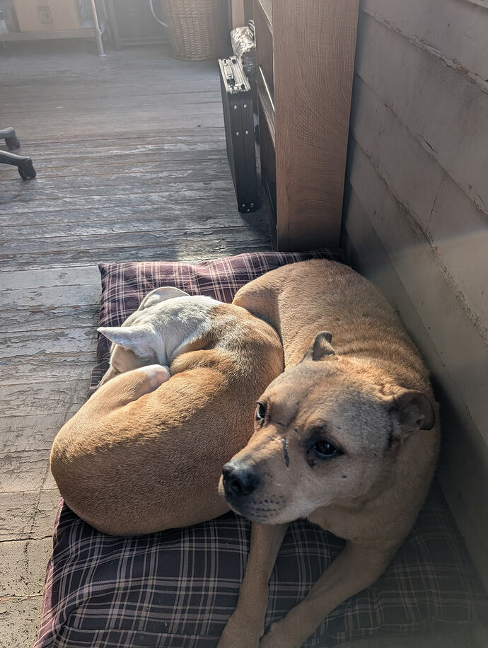 PXL_20260401_004937718