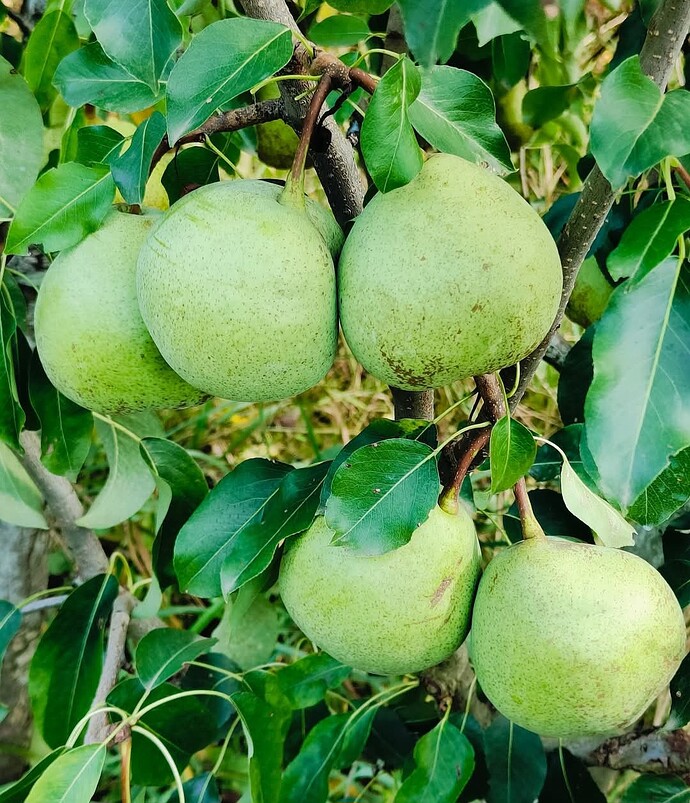 Screenshot_20251010_162552_Facebook