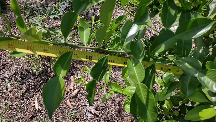 IMG_20250707_103049418_HDR