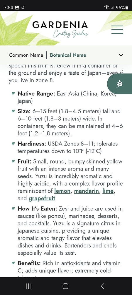 Screenshot_20260620_075442_Samsung Browser