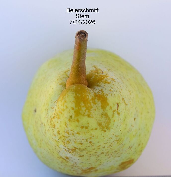Beierschmitt Stem 7-24-2026RS