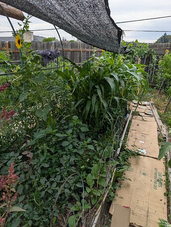 PXL_20250718_232123648