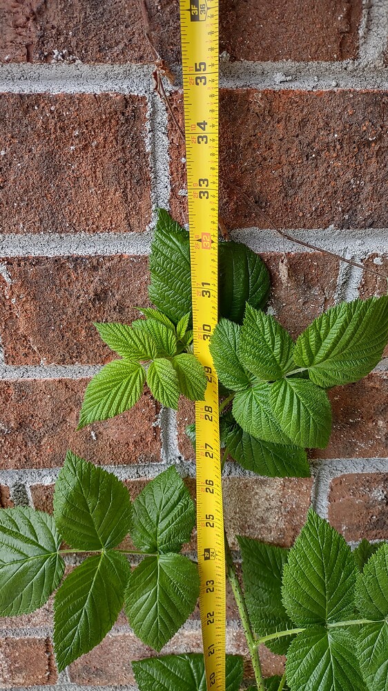 IMG_20251107_113412522_HDR