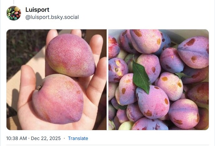 WhatsApp Image 2025-12-22 at 13.48.37