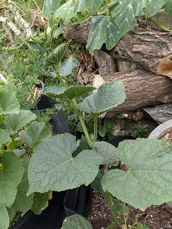 PXL_20250718_232216115