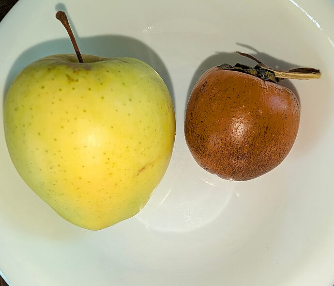 Ginger Gold Apple Next to Sosnovskaya Persimmon