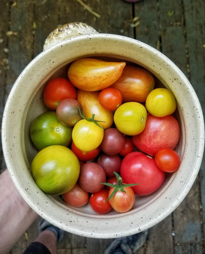 TomatoBowl