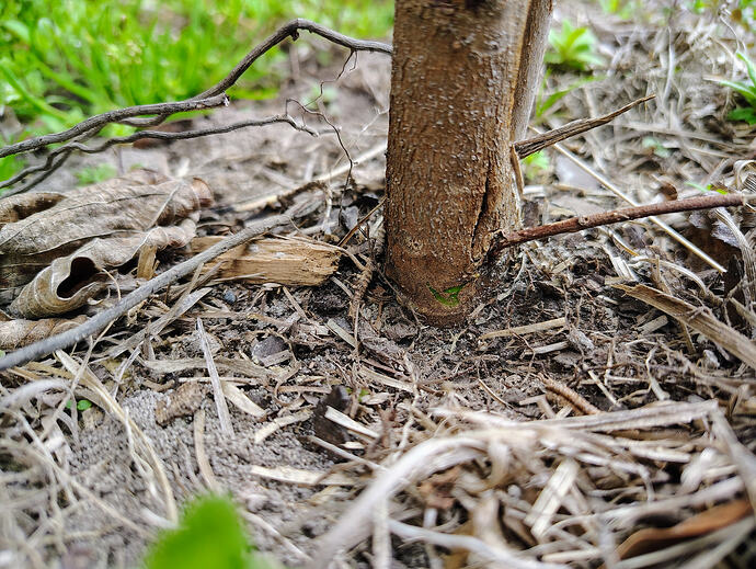 IMG_20260307_111111658_HDR_AE