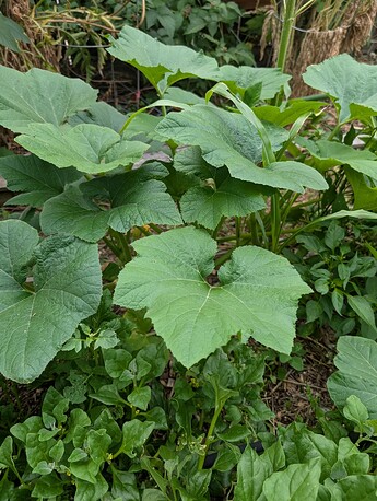 PXL_20250718_231905203