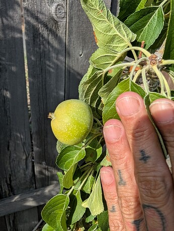 PXL_20250814_232951078