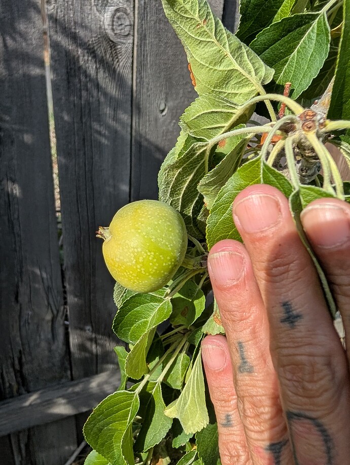 PXL_20250814_232951078