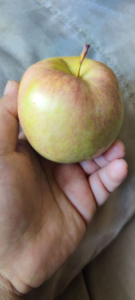 IMG_20250707_1545071