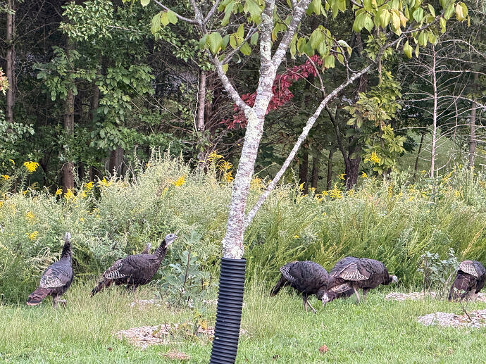 IMG_1611