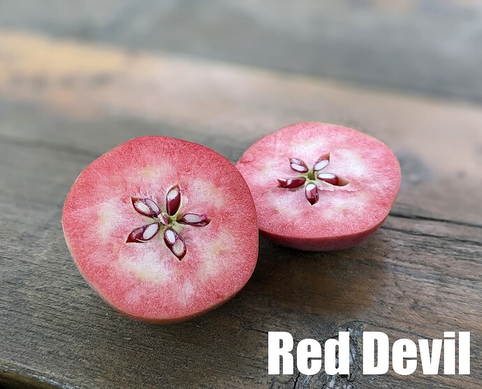 Red Devil_2025
