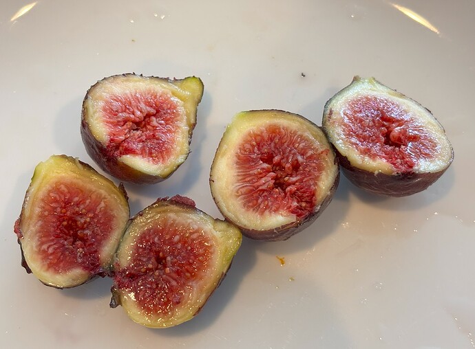 Figs1